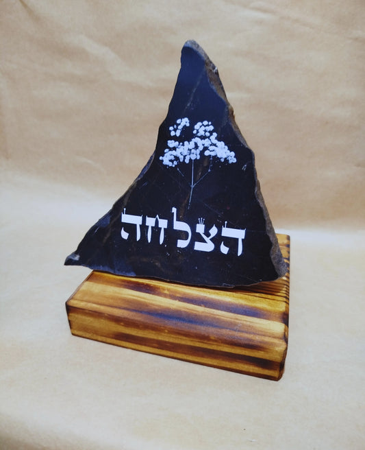 הצלחה